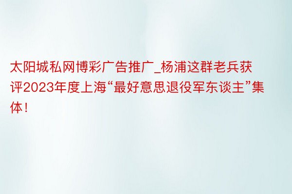 太阳城私网博彩广告推广_杨浦这群老兵获评2023年度上海“最好意思退役军东谈主”集体！